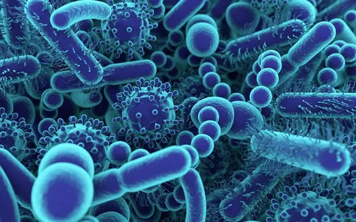 UV Sanitizers: Preventive Agents Against the Current Outbreaks - Tool Klean