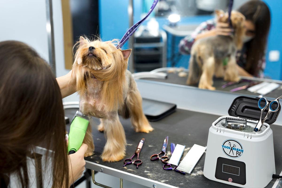 Hot Cup Pro Sanitizer - Metal Tool Sanitizer for Salon