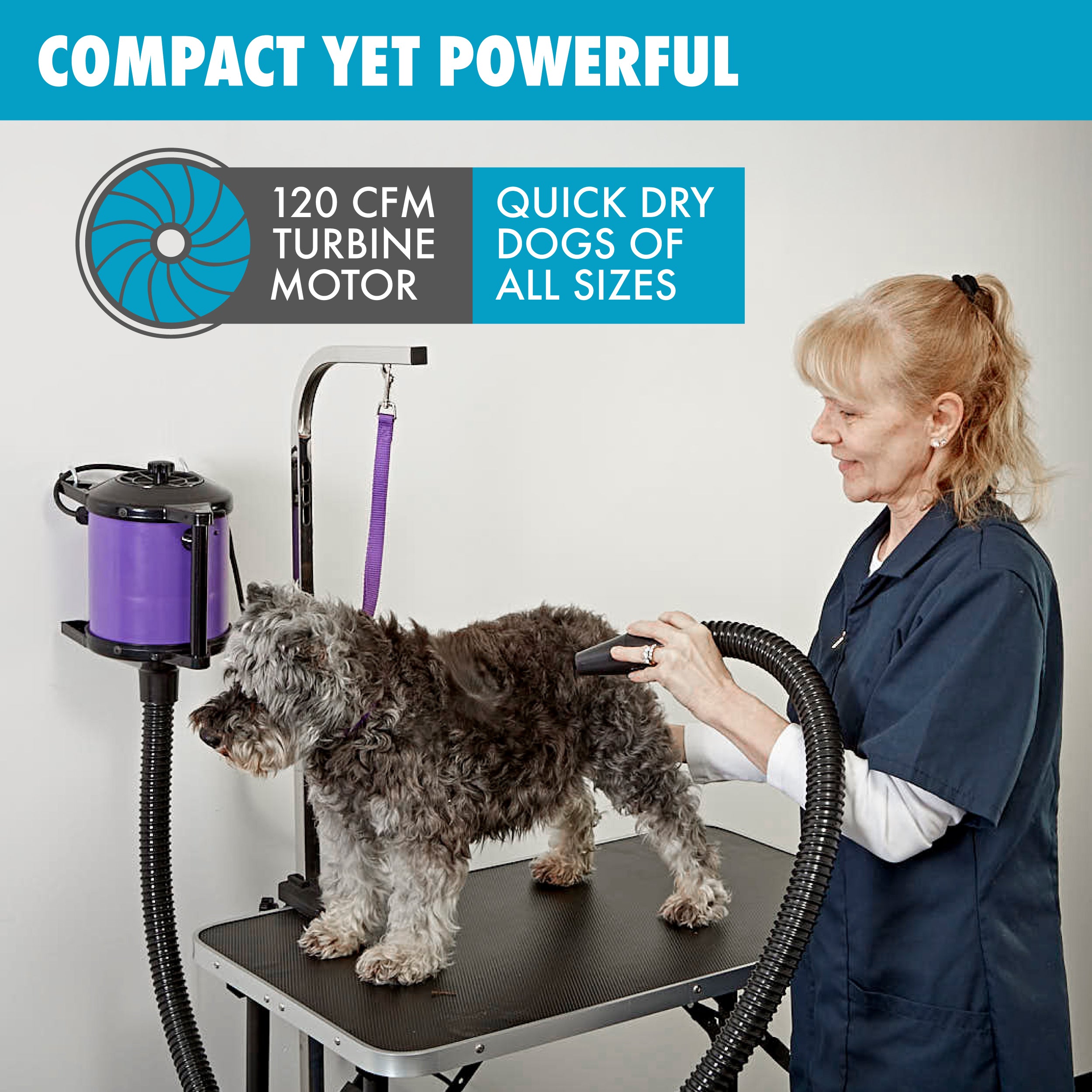 GustyAir Mini High Velocity Portable Dog Hair Dryer