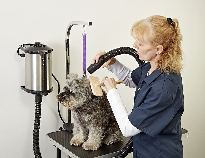 Best cage dryer for dog clearance grooming