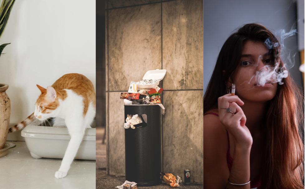 UV Light - The Solution to Eliminating Harsh Odors in Your Home