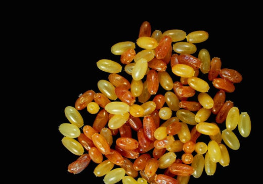 How to kill insect eggs in your home with UV Light. - Tool Klean