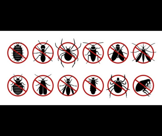 Fight Back Against Warm-Weather Pests with Tool Klean UV Sanitizers