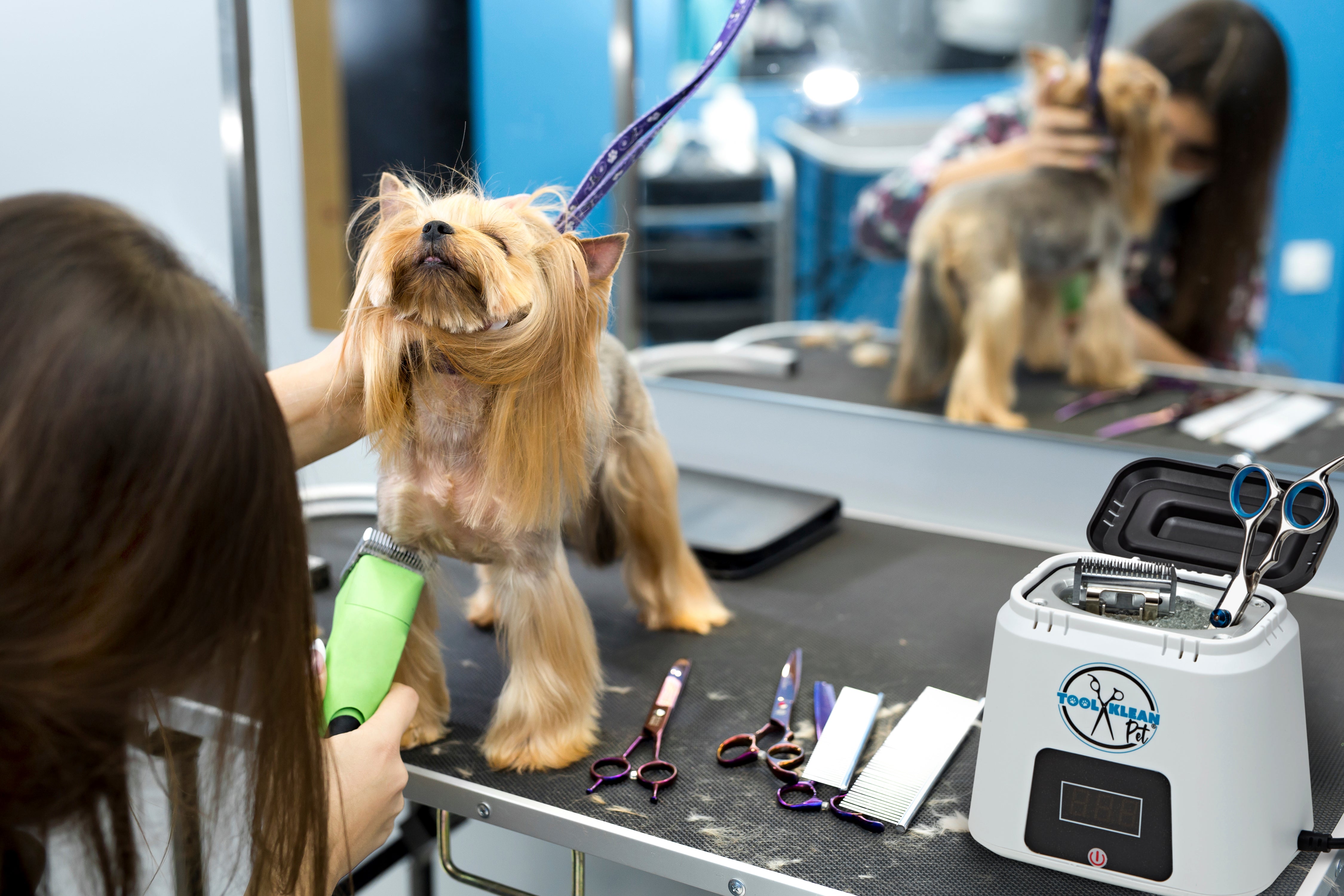 Hot Cup Pro Sanitizer - Metal Tool Sanitizer for Salon