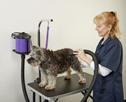 GustyAir Mini High Velocity Dryer - Ultra Powerful Variable Speed Dryer - Cage Drying, Dog Grooming Professionals - Tool Klean