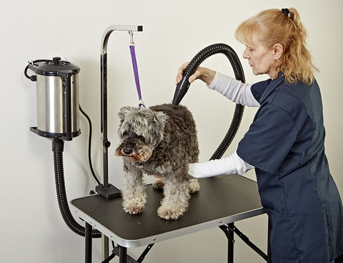 Shop GustyAir Pro High Velocity Dog Blow Dryer | Tool Klean