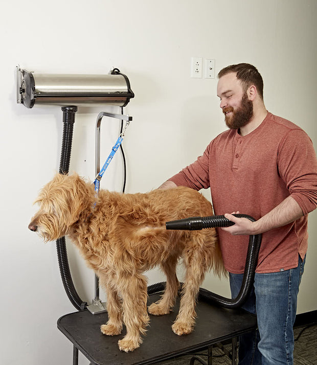 GustyAir Pro II High Velocity Dryer - Dual Motor High Power Stainless Steel Force Dryer - Professional Dog Pet Grooming Medium/Large Dogs - Tool Klean