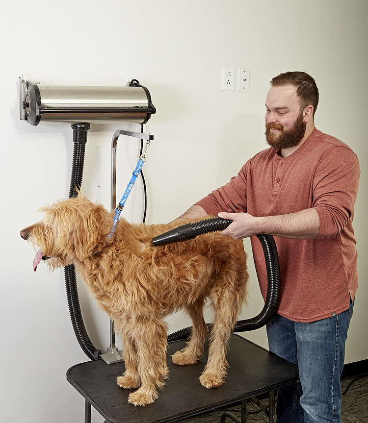 GustyAir Pro II High Velocity Dryer - Dual Motor High Power Stainless Steel Force Dryer - Professional Dog Pet Grooming Medium/Large Dogs - Tool Klean