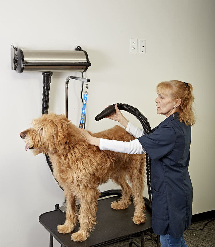 GustyAir Pro II High Velocity Dryer - Dual Motor High Power Stainless Steel Force Dryer - Professional Dog Pet Grooming Medium/Large Dogs - Tool Klean